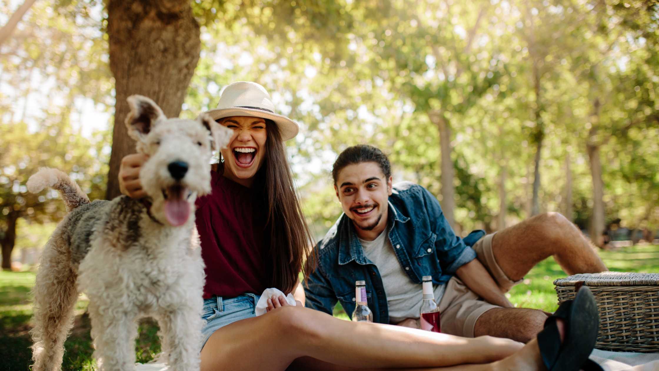 2ps - cheese and wine hampers